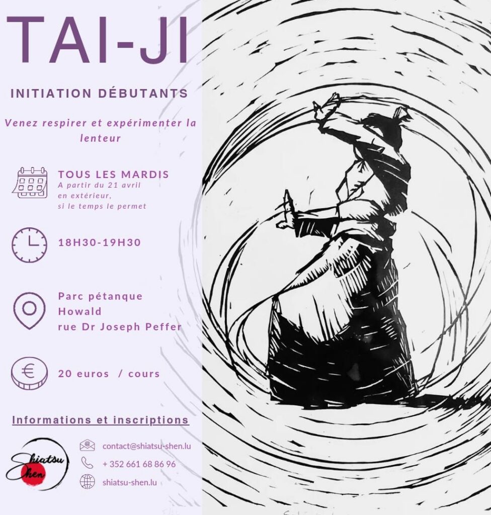 flyer taiji